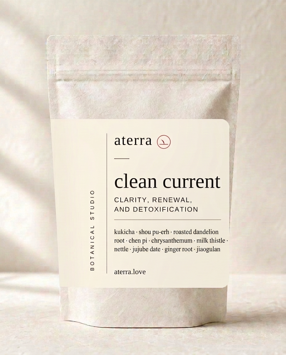 Clean Current — aterra