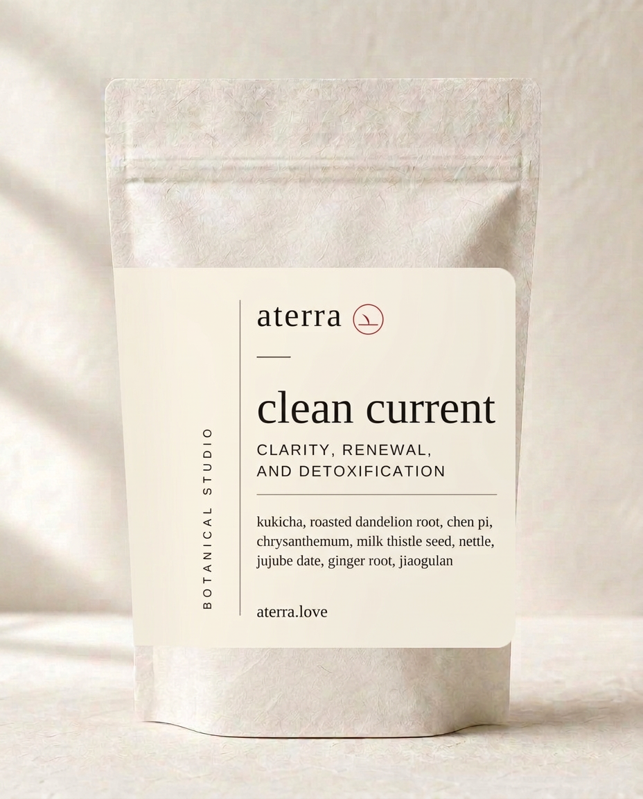 Clean Current — aterra